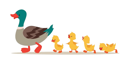 Duckies